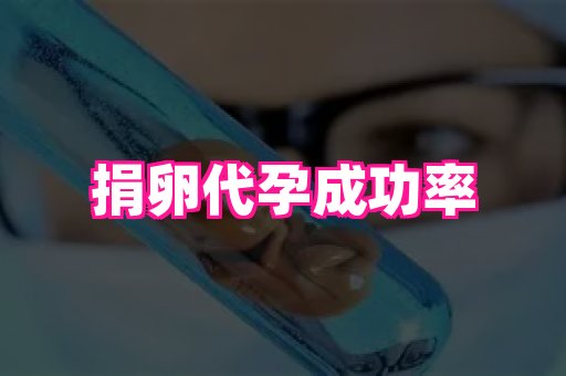 无锡助孕网 3