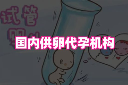 无锡助孕网 4